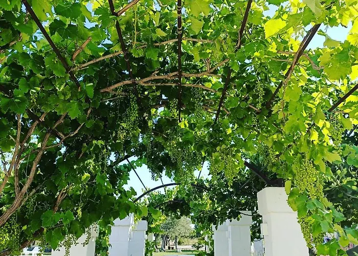 Masseria Almadava